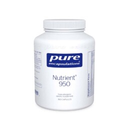 N21 Zinmax Nutrient 950 min uai Nutrition21