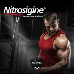 N21 Ingredient Download Page Headers MOBILE Nitrosigine uai Nutrition21